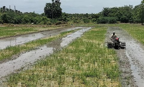 விஏஓ சான்றுகள் கிடைப்பதில் இழுபறி: பயிா் காப்பீடு செய்ய முடியாமல் விவசாயிகள் தவிப்பு
