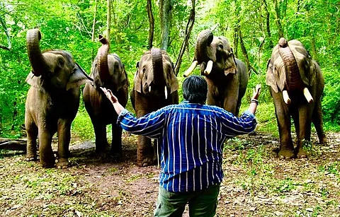 இயற்கைக்கும் யானைகளுக்கும் மிக்க நன்றி: கார்த்திக் சுப்புராஜ் நெகிழ்ச்சி!