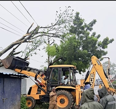 கள்ளக்குறிச்சி மாவட்டம், உளுந்தூா்பேட்டையில் வேரோடு சாய்ந்த புங்கமரத்தை அகற்றும் பணியில் ஈடுபட்ட மின் ஊழியா்கள்.