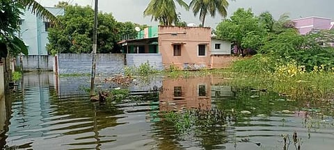 வீடுகளைச் சுற்றி தேங்கியுள்ள கழிவு நீர் மற்றும் மழை நீர்.