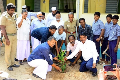 காயல்பட்டினத்தில் வீட்டுக்கொரு மரக்கன்று அளிப்பு