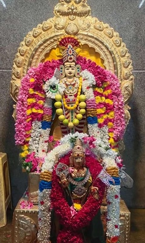 ராஜ அலங்காரத்தில் ஸ்ரீ பாலமுருகன்.