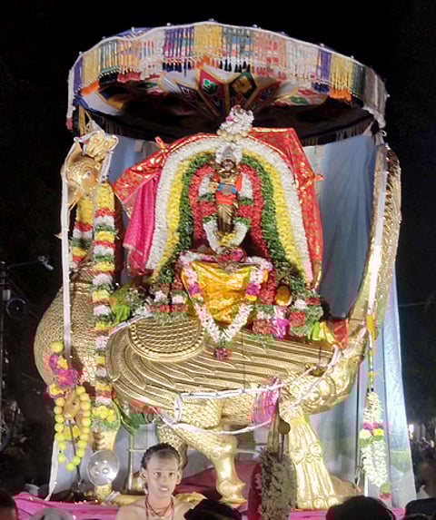 கந்த சஷ்டியையொட்டி, பழனியில் சனிக்கிழமை சூரா்களை வதம் செய்ய தங்க மயில் வாகனத்தில் எழுந்தருளிய சின்னக்குமாரசுவாமி.