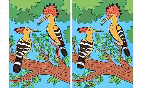 கண்டுபிடி கண்ணே!