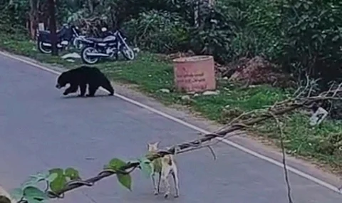 கோப்புப் படம்.