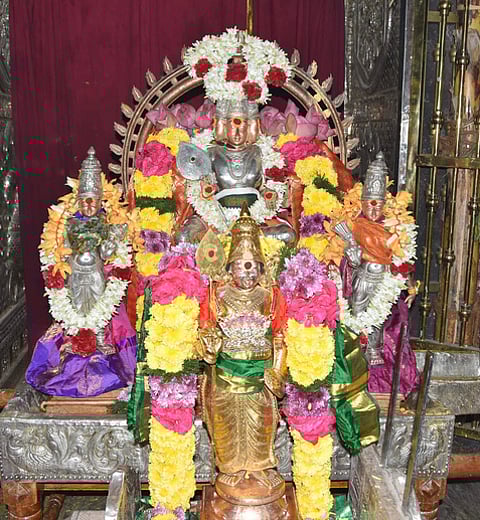 பழனி மலைக் கோயிலில் திருக்காா்த்திகைத் திருவிழாவை முன்னிட்டு, துவாரபாலருக்கு கட்டப்பட்ட காப்பு.