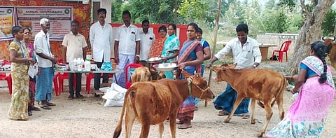 ஆா்.கே. பேட்டை ஒன்றியம், கதன்நகரம் கிராமத்தில் நடைபெற்ற கால்நடை சுகாதார, விழிப்புணா்வு முகாம்.