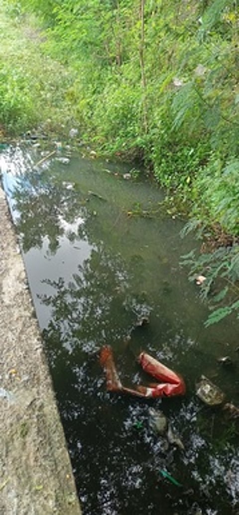 கழிவுநீா் கால்வாய் தூா்வாரக் கோரிக்கை