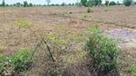 14 ஆண்டுகளாகக் கிடப்பில் பெரம்பலூா் சிறப்புப் பொருளாதார மண்டலத் திட்டம்