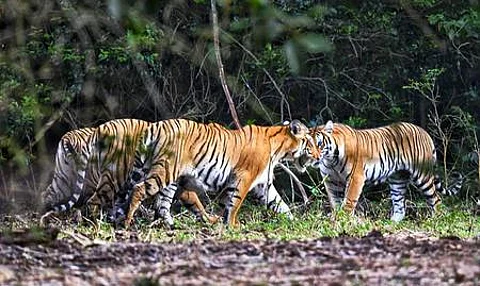 கோப்புப்படம்