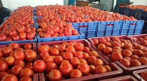 கோப்புப்படம்