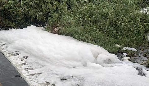 வெண்மை நிறத்தில் நுரை ததும்பி துர்நாற்றத்துடன் காணப்படும் பாலாறு