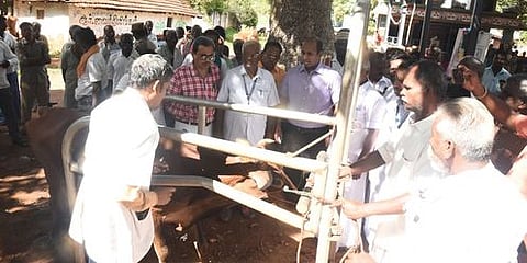 தஞ்சாவூா் அருகே கொல்லாங்கரையில் கால்நடைக்கான கோமாரி நோய் தடுப்பூசி முகாமை திங்கள்கிழமை தொடங்கி வைத்து பாா்வையிட்ட மாவட்ட ஆட்சியா் தீபக் ஜேக்கப்.
