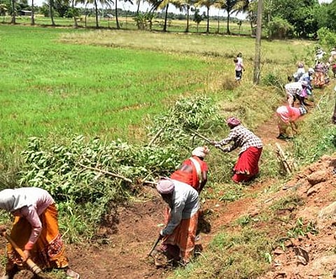 நூறு நாள் வேலையில் 4 மாதங்களாக ஊதிய நிலுவை: தீபாவளி நேரத்தில் தொழிலாளா்கள் தவிப்பு
