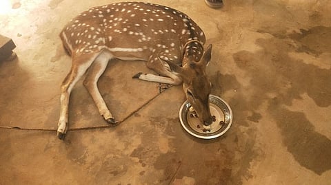 கோப்புப் படம்