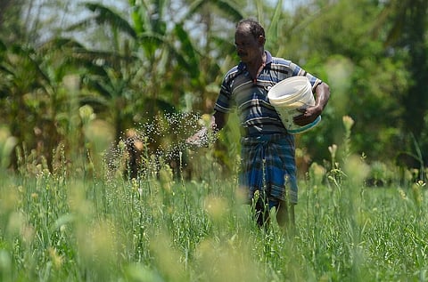 கோப்புப் படம்