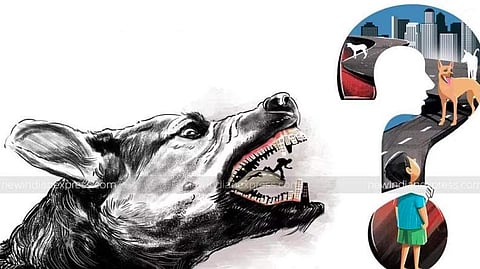 வெறிநாய்