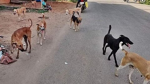 கோப்புப் படம்