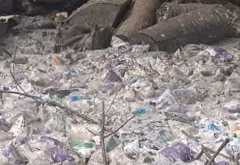 தாம்பரம் கால்வாயில் ஆயிரக்கணக்கான ஆவின் பால் பாக்கெட்கள்:மக்கள் அதிர்ச்சி