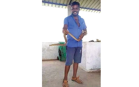 பாம்பு பிடிக்க பயிற்சி...