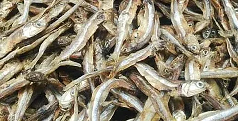 நாட்டிலேயே முதன்முறையாக ரயில் நிலையத்தில் கருவாடு விற்பனையகம்: எங்கு தெரியுமா?