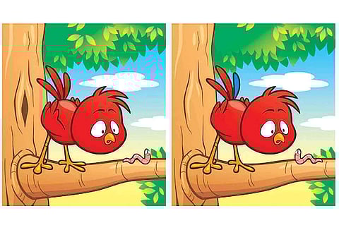 கண்டுபிடி கண்ணே!