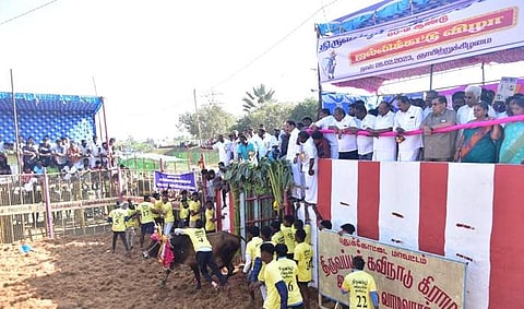 திருவப்பூர் முத்துமாரியம்மன் மாசிப்பெருந் திருவிழாவின் தொடக்கமாக ஜல்லிக்கட்டு: சீறிப்பாய்ந்த காளைகள்