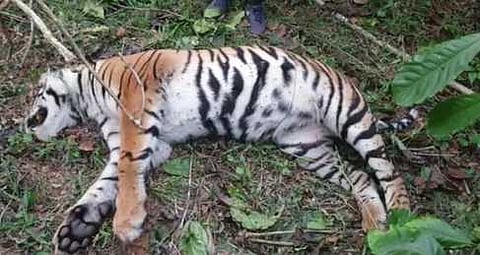 கோப்புப்படம்