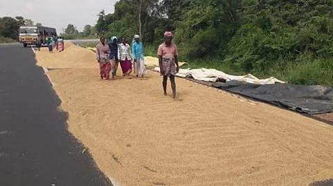 தஞ்சாவூா் அருகே பூண்டி பகுதியில் ஒரு வாரத்துக்கு முன்பு அறுவடை செய்யப்பட்ட நிலையில், மழையில் நனைந்ததால் ஞாயிற்றுக்கிழமை சாலையில் காயவைக்கப்பட்ட நெல். ~தஞ்சாவூா் அருகே பூண்டி பகுதியில் ஒரு வாரத்துக்கு
