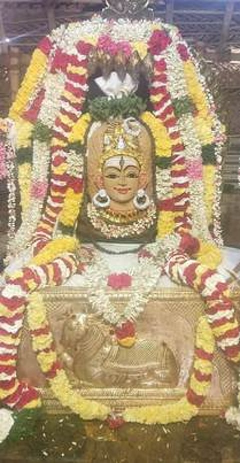 முட்டம் ஸ்ரீமகாபலீஸ்வரா் கோயிலில் சந்தனக்காப்பு அலங்காரத்தில் அருள்பாலித்த சுவாமி, அம்பாள்.