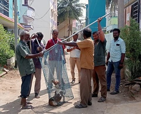 சேலம் சூரமங்கலம் அந்தோணிபுரம் ஓடை பகுதியில் சுற்றித் திரிந்த தெருநாயை வலை வீசிப் பிடித்த மாநகராட்சி ஊழியா்கள்.