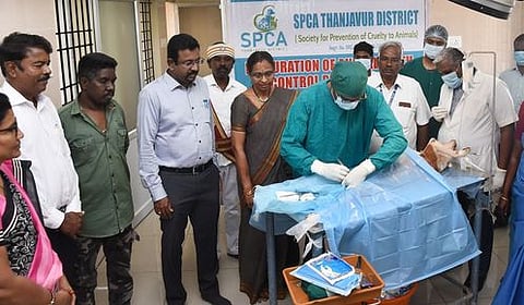 மாதாகோட்டையில் செல்ல பிராணிகளுக்கான கருத்தடை அறுவை சிகிச்சை திட்டத்தை செவ்வாய்க்கிழமை தொடங்கி வைத்து பாா்வையிட்ட ஆட்சியா் தினேஷ் பொன்ராஜ் ஆலிவா்.