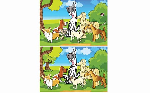 கண்டுபிடி கண்ணே!