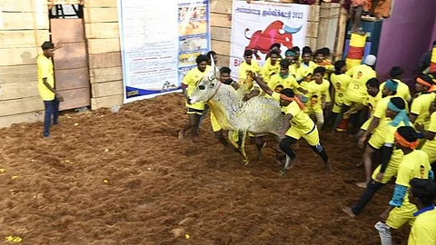 அய்யம்பட்டியில் ஜல்லிக்கட்டு விழா : காவலர் உட்பட 23 பேர் காயம்