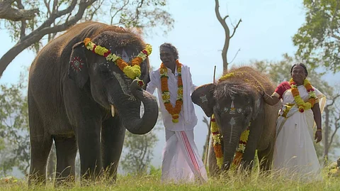 ஆஸ்கர் வென்ற தி எலிஃபன்ட் விஸ்பரர்ஸ் இந்திய ஆவணப்படம்