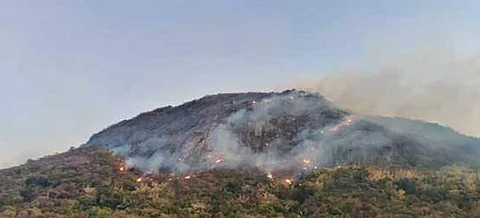 மதுக்கரை வனச் சரகப் பகுதியில் ஏற்பட்டுள்ள காட்டுத் தீ.