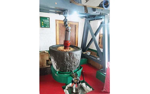இயற்கையோடு இணைவோம்..!