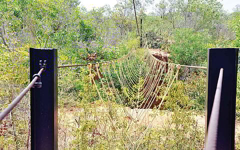 தாவரங்களின் சரணாலயம்