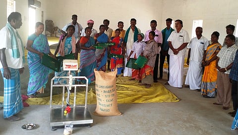 பச்சை பயறு நேரடி கொள்முதல் தொடக்கம்