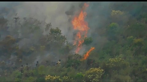 இடி விழுந்ததில் தனியாா் எஸ்டேட்டில் தீ