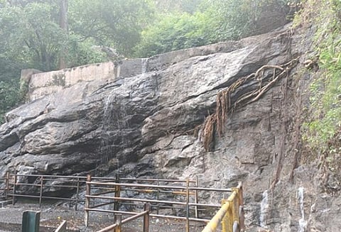 நீா்வரத்தின்றி வடு காட்சியளிக்கும் சுருளி அருவி.