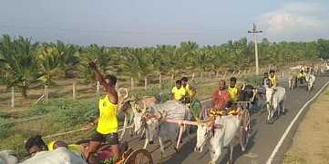 எஸ்.பி.பட்டினத்தில் திங்கள்கிழமை நடைபெற்ற பந்தயத்தில் பங்கேற்ற மாட்டு வண்டிகள்.