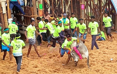 செவலூரில் ஜல்லிக்கட்டு; 26 போ் காயம்