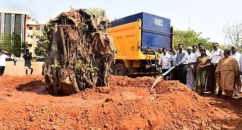 தஞ்சாவூா் மாவட்ட ஆட்சியரகத்தில் வியாழக்கிழமை நடப்பட்ட ஆல மரத்துக்கு தண்ணீா் ஊற்றிய ஆட்சியா் தினேஷ் பொன்ராஜ் ஆலிவா்.