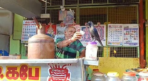 டீக்கடைக்காரரிடம் பால் ஏடு கேட்கும் காகம்.. வைரல் விடியோ