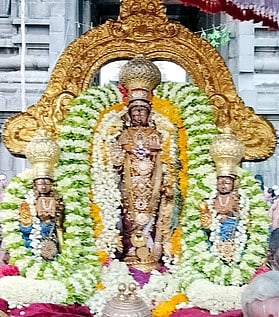 வசந்த உற்சவத்தையொட்டி, ஸ்ரீதேவி, பூதேவியருடன் சிறப்பு அலங்காரத்தில் வசந்த மண்டபத்துக்கு எழுந்தருளிய உற்சவா் வரதராஜப் பெருமாள்.