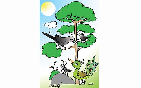 தங்கத்தை வெல்வாய் தம்பி...