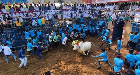 கிருங்காக்கோட்டையில் ஜல்லிக்கட்டு: 58 போ் காயம்