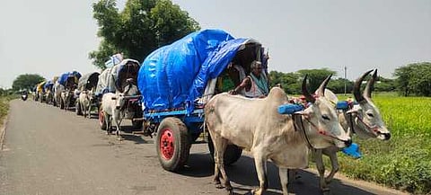 கூடமுடையாா் அய்யனாா் கோயிலில் 58 கிராமத்தினா் குலதெய்வ வழிபாடு