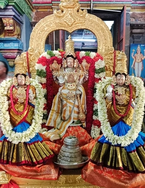 சிறப்பு அலங்காரத்தில் ஸ்ரீதேவி, பூமிதேவி சமேத கிருபாசமுத்திரப் பெருமாள்.